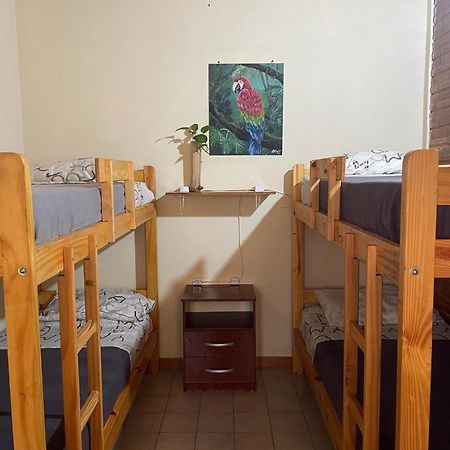 Bungalow Hostel Iguazu Πουέρτο Ιγκουασού Εξωτερικό φωτογραφία